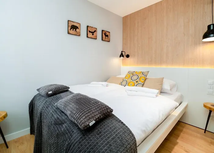 Triventi Mountain Sunrise 아파트 카르파츠